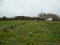 Planting Trees 001